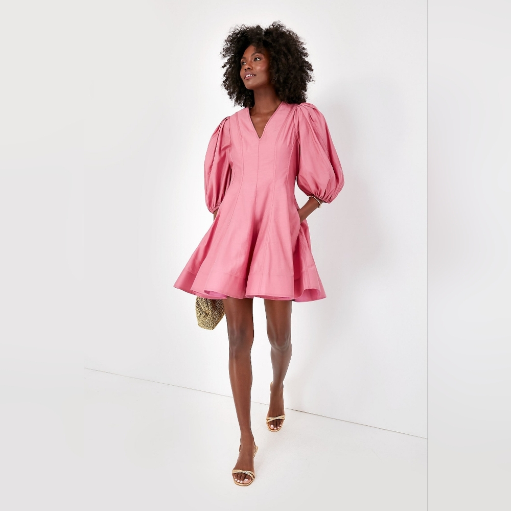 Tuckernuck Pink Puff Sleeve Dress